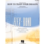 How to Train Your Dragon (Selections from) - Young Band