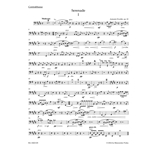 Serenade for String Orchestra in E Major, Op. 22 - String Bass Part