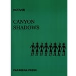 Canyon Shadows - Flute, Native American Flute, and Percussion