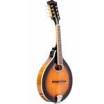 Gold Tone GM-50+ A-Style Mandolin with Pickup and Bag