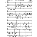 Cavatina from "Ernani" - Soprano Sax and Piano