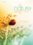 All Nature Sings - Advanced Piano Solos