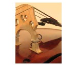 Realist Acoustic Transducer for Bass (Wood Element)