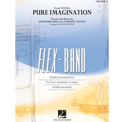 Pure Imagination - Flex Band