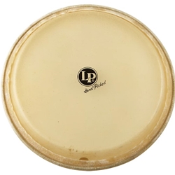 LP265A 11" Quinto Head, Rawhide