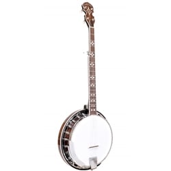 Gold Tone BG-150F Bluegrass Banjo with Flange and Bag