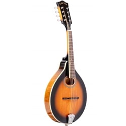 Gold Tone GM-50+ A-Style Mandolin with Pickup and Bag